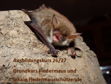 Werbebild